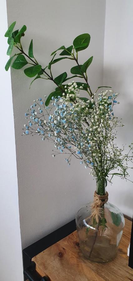 Apartamento Faro 1 滨海罗克塔斯 外观 照片